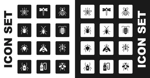 Set Chafer beetle, Cockroach, Beetle bug, Mosquito, Larva insect, Dragonfly,  Stock Illustration
