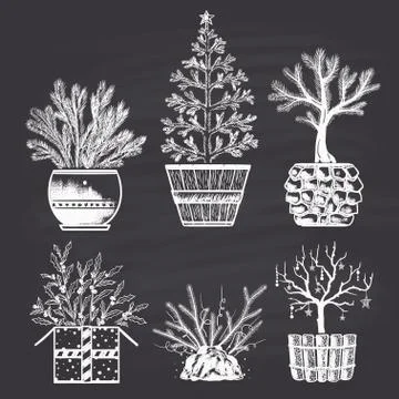 Set of chalk drawn different Christmas trees in different types of pots. Stock Illustration