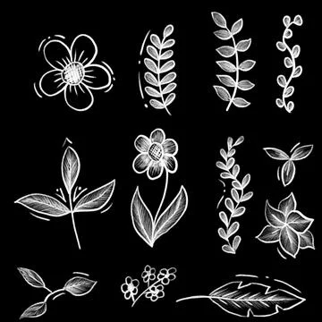 Set of chalk or crayon doodle hand drawn leaves and flowers. Stock Illustration