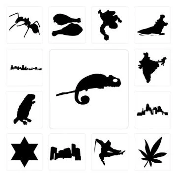 Set of chameleon, marijuana leaf, ninja, minnesota, star david, , beaver, ind 무료 스톡 일러스트