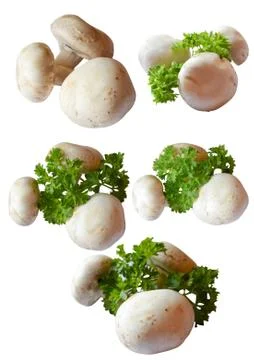 Set of champignons Foto stock