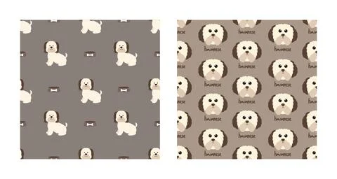 Set Character Seamless Pattern Animal Of Cute Havanese Dog Can Be Used as Des Illustrazione stock