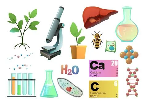 Set Chemistry objects. Science items picture. Study of living cells of plan.. Stock Illustration