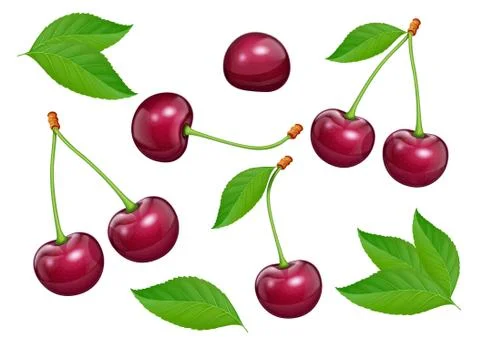 Set of Cherries with green leaf. Fresh, juicy, ripe fruit. Stock Illustration