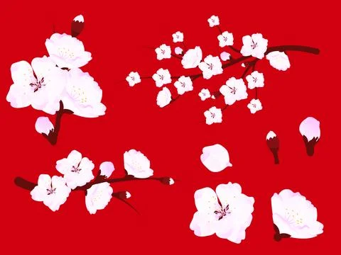 Set of cherry blossoms, branches and flowers. Elements of spring design. Ve.. Stock Illustration