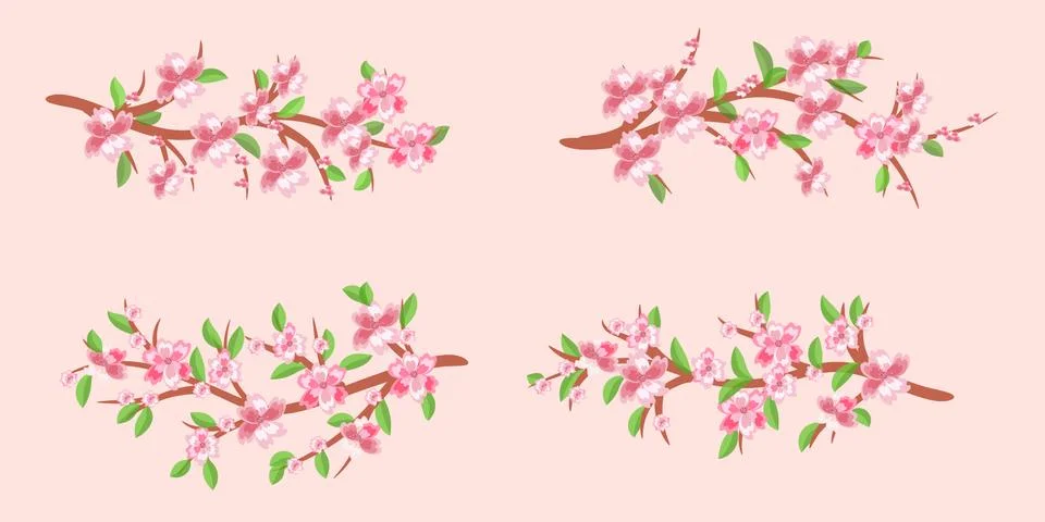 Set of cherry branches in bloom. Cherry blossoms. Spring.Vector Illustration Stock Illustration