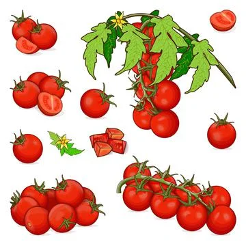 Set of cherry tomatoes. Cartoon style. Vector illustration. Ilustración de archivo