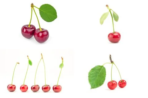 Set of Cherry on a white background Foto stock