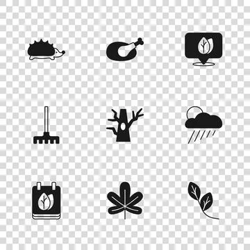 Set Chestnut leaf, Cloud with rain and sun, Leaf, Bare tree, Location, Hedg.. Stock Illustration