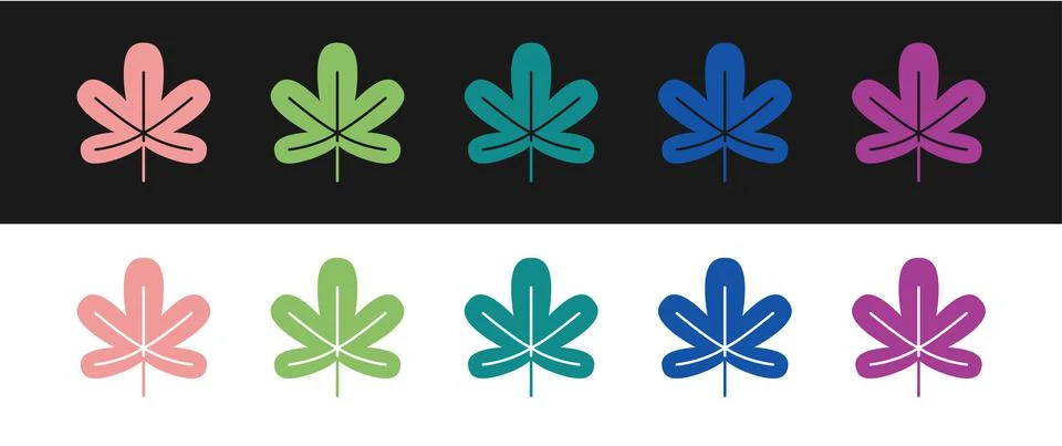 Set Chestnut leaf icon isolated on black and white background. Vector 스톡 일러스트