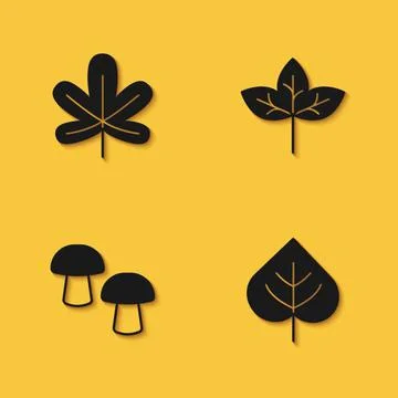 Set Chestnut leaf, Leaf, Mushroom and icon with long shadow. Vector 스톡 일러스트