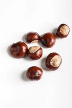 Set of chestnuts on white Stock Photos