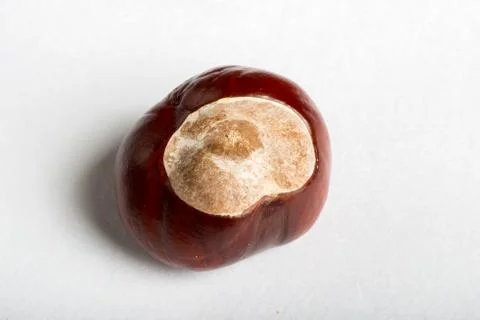 Set of chestnuts on white Stock Photos