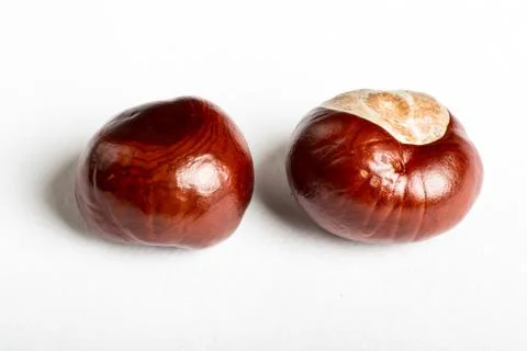 Set of chestnuts on white Stock Photos
