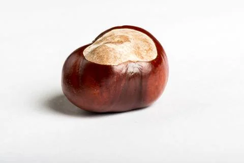 Set of chestnuts on white Stock Photos