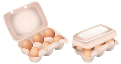 Set of Chicken Eggs in Boxes on White Background Stock Illustration