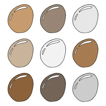 Set of chicken eggs. Vector illustration of eggs. Hand drawn chicken eggs. Stock Illustration