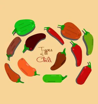 Set Of Chili Peppers Of Different Types Stock Illustration
