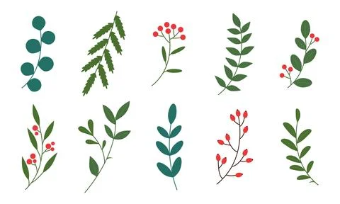 Set of Christmas botanical elements with green leaves, branches 库存插图