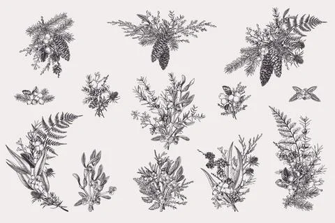 Set with Christmas bouquets. Illustrazione stock