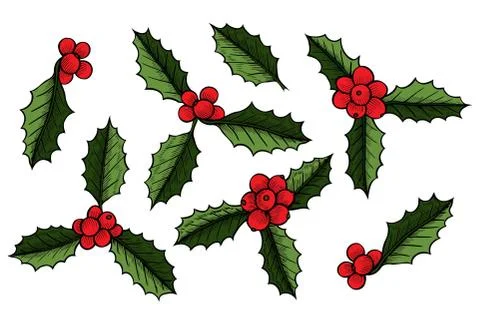 Set of Christmas mistletoe Illustrazione stock