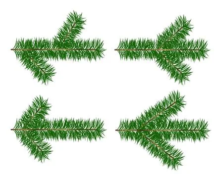 Set of Christmas tree branch  Stock Illustration
