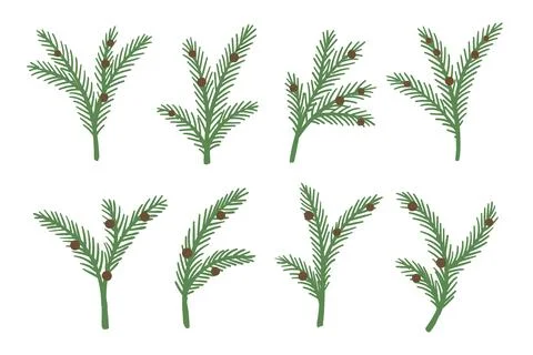Set of Christmas tree, pine spruce or fir green branches with cones for holiday Stock Illustration