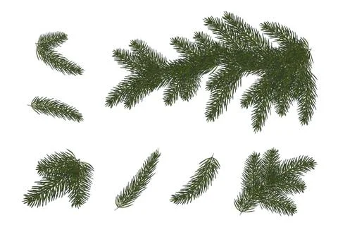 ??????set: Christmas trees, isolated. Branches of Christmas tree.vector illus Illustrazione stock