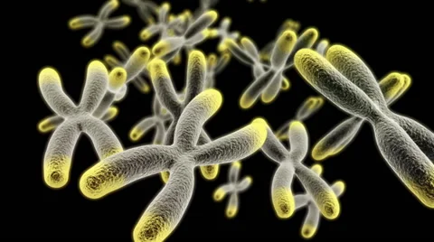 The set of chromosomes with telomerase on a black background HD video Stock Footage 53062623
