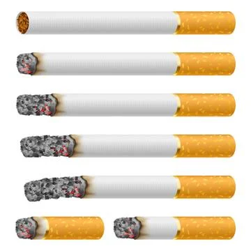 Set of Cigarettes During Different Stages of Burn. Each is isolated on white. Stock Illustration