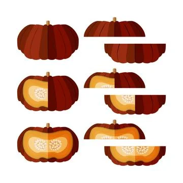 Set of Cinderella pumpkin. Flat design Stock Illustration