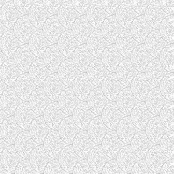 Set of Circle Ornaments Set of Circle Ornaments on White Background. Circl... Stock Photos