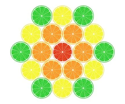 Set of citrus in the cut. Vector EPS10 Stock Illustration