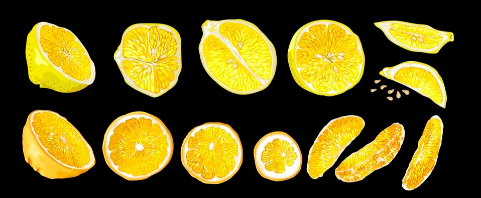 Set with citrus fruit elements of lemon and orange. There are halves, circle Stock Illustration