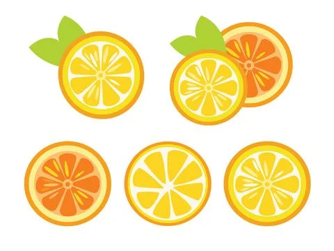 Set of citrus fruit. Orange Stock Illustration