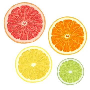 Set of citrus fruits. Vector. Stock Illustration
