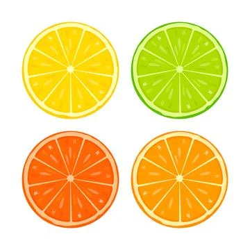 Set of citrus lemon, lime, orange, grapefruit - slices. Vector illustration 库存插图
