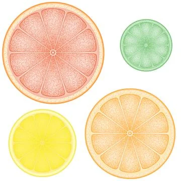 Set of citrus in the slice orange lemon lime grapefruit Illustrazione stock