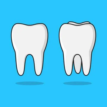 Set Of Clean Tooth Vector Icon Illustration. Clean Teeth Flat Icon 스톡 일러스트