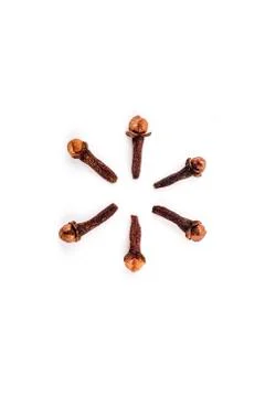 Set of cloves Stock Photos