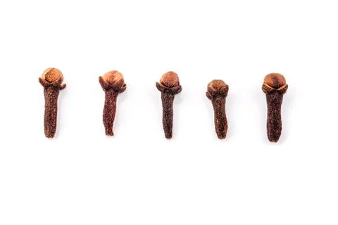 Set of cloves Foto stock