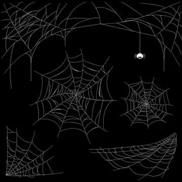 Set of cobweb isolated on dark background. Spiderweb collection for halloween Stock Illustration