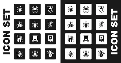 Set Cockroach, Beetle deer, bug, Insect fly, Book about insect and icon. Vector Stockillustratie