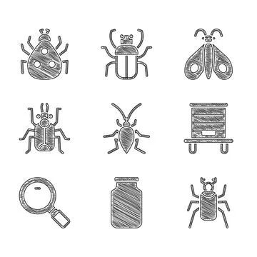 Set Cockroach, Glass jar, Beetle bug, Hive for bees, Magnifying glass, Butterfly Stock Illustration