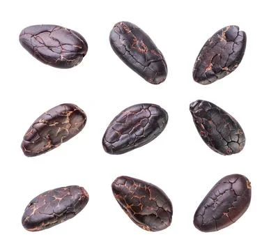 Set of cocoa beans close-up on white. Isolated Stock Photos