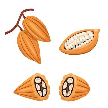 A set of cocoa beans. Vector illustration Stock Illustration