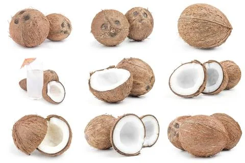 Set of coconut close-up on white Foto stock