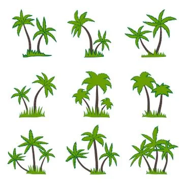 Set of coconut palm tree isolated on white background. Vector illustration. Stock Illustration