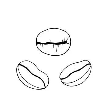 Set of coffee beans hand drawn in ink. Vector illustration. Outline drawing. Stock Illustration