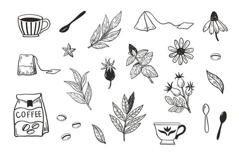 Set of coffee cups spoons and plants. Isolated design elements for menu, pa.. Illustrazione stock